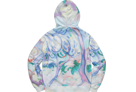 Supreme Landscape Hooded Sweatshirt Multicolor – RIF LA 