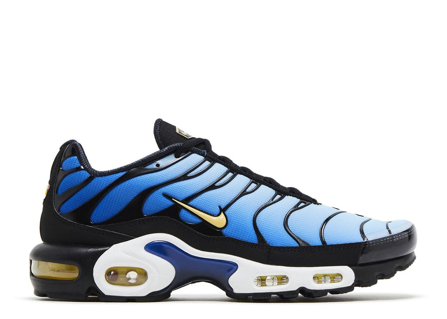 Nike Air Max Plus OG Hyper Blue (WORN)