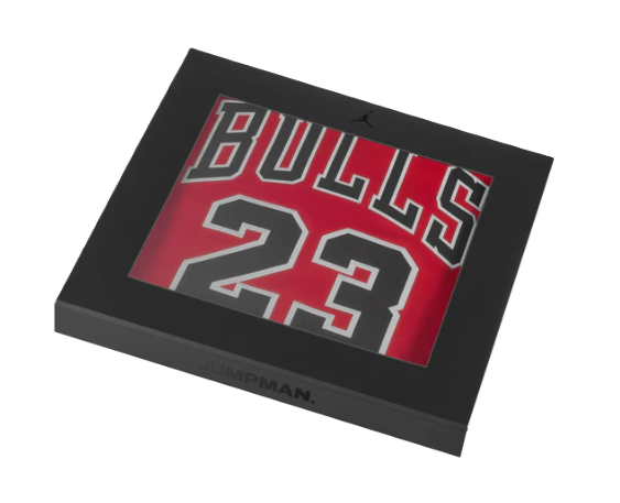 NBA Chicago Bulls Michael Jordan Icon Edition Authentic Jersey Red
