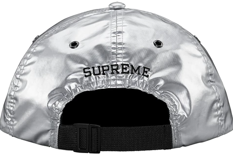 Supreme The North Face Metallic 6-Panel Silver