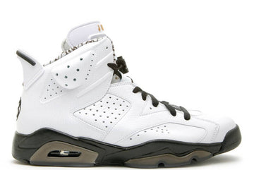 Air Jordan 6 Retro Motorsport (2010)